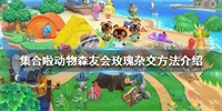 集合啦动物森友会玫瑰杂交公式