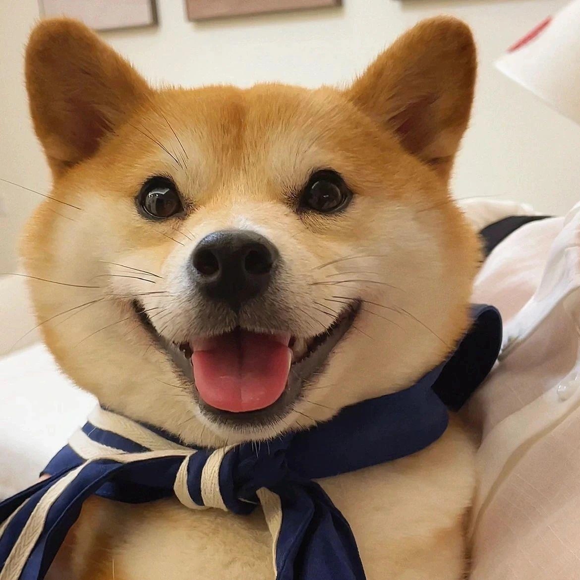 顶配售价11元一加木星岩限定版开售，16GB+512GB4899