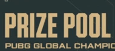 PUBGPGC2024全球总决赛圆满落幕，越南战队TE夺冠！